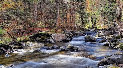 Le Parc du Massif du Sud : la grande nature des Appalaches à votre portée, 12 mois par année